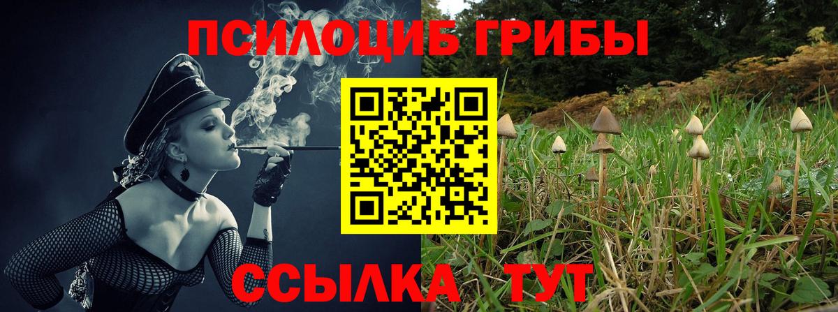 Псилоцибиновые грибы GOLDEN TEACHER Тара