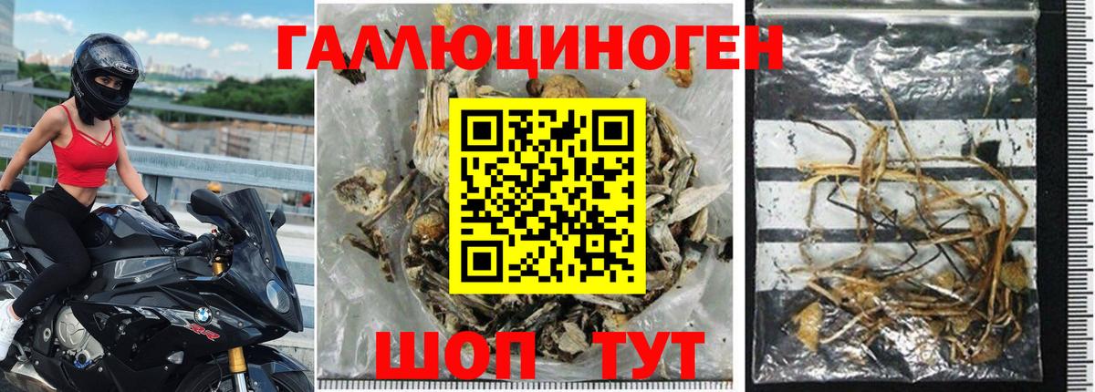 Галлюциногенные грибы прущие грибы  Вход с VPN  Тара 