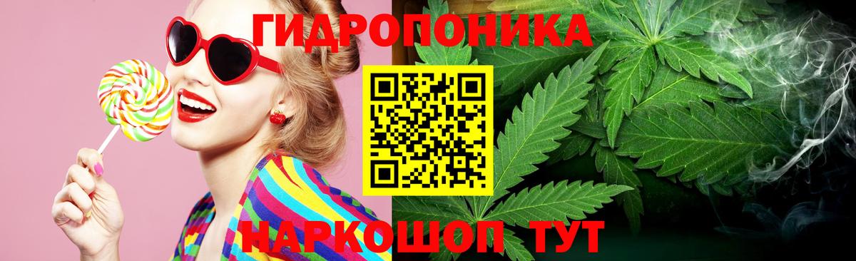 Канабис White Widow  Каннабис сатива  Тара  Вход с VPN  Бошки Шишки гибрид  Марихуана планчик 